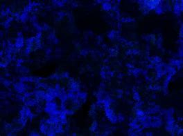 Image result for Dark Blue and Black Texture