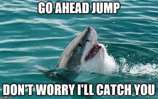 Image result for Catch Memes