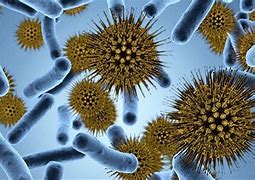 Image result for bacteriost�tico