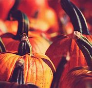 Image result for Fall Apples Pumpkins Wallpaper