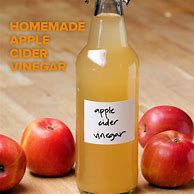 Image result for Homemade Apple Cider Vinegar Recipes