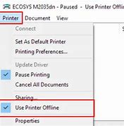 Image result for Use Printer Offline