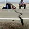 Image result for Earthquake Big Damage