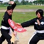 Image result for Fan Style Martial Arts