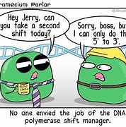 Image result for DNA Replication Meme Enzyme