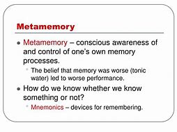 Image result for Metamemory Examples
