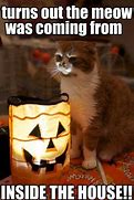 Image result for Yellow Cat Meme