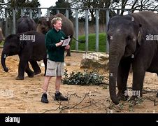 Image result for Zookeeper Shane