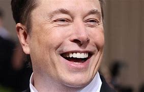 Image result for Elon Musk Career