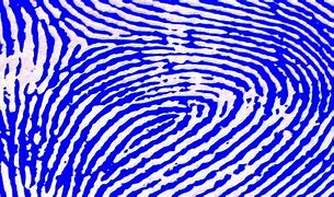 Image result for Low Quality Photo of Fingerprint Padlock
