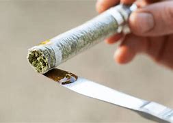 Image result for Spawntanica Edible Joint Smoke