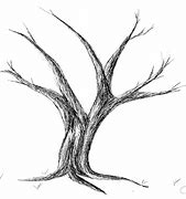 Image result for Tree Pencil Drawing