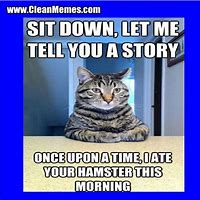 Image result for Monday Morning Cat Memes