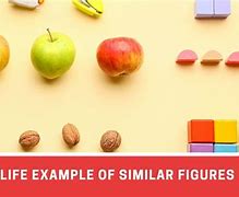 Image result for 2 Similar Objects