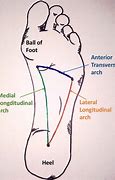 Image result for How to Measure the Arch of Your Foot