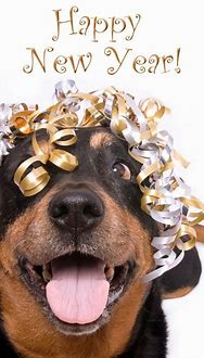 Image result for Dogs Happy New Year 2019
