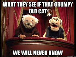 Image result for Muppets Grumpy Old Men Meme