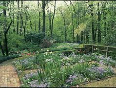 Image result for Sustainable Gardening