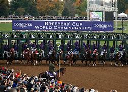 Image result for Breeders' Cup Colors
