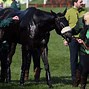 Image result for Aintree Racecourse