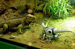 Image result for Roboreptile