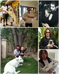 Image result for Chris Cornell in White Sweater and Dog