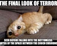 Image result for Cat in Couch Cushions Meme
