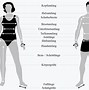 Image result for How to Measure Yourself for a Bra