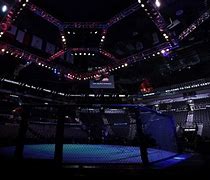 Image result for Cage Fighting Art