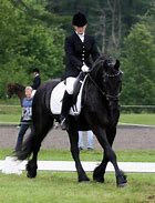 Image result for Friesian Horse Dressage
