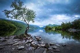 Image result for Most Beautiful Forests in Wales Snowdonia