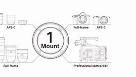 Image result for Sony Mirrorless