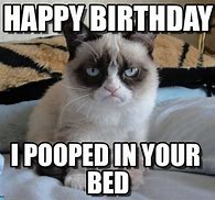 Image result for Fat Cat Birthday Meme