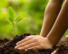 Image result for Tamil Essay On Saving the Earth