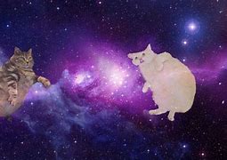 Image result for Galaxy Wallpaper Cute Cat