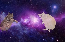 Image result for Funny Cat Background 1920X1080 Galaxy