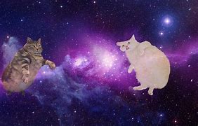 Image result for 1080X1080 Galaxy Cats