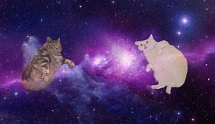 Image result for Galaxy Cat Desktop Wallpaper