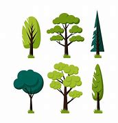 Image result for Tree Vector Illustration