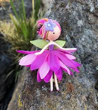 Image result for Mini Fairy Armadillo