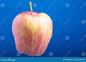 Image result for Different Kinds of Red and Yellow Apple's
