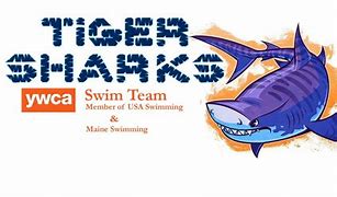 Image result for Tiger Shark in Saturn Logo