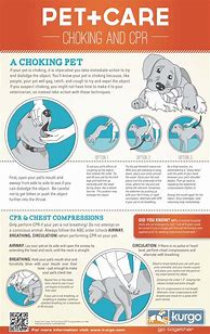 Image result for Dog CPR Print Out