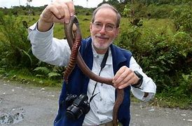 Image result for Largest Worm Ever Found