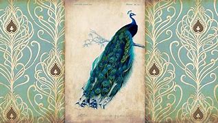 Image result for Vintage Peacock Wallpaper