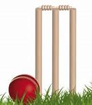 Image result for Cricket Wicket