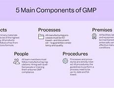 Image result for Components of GMP