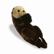 Image result for Aurora Sea Otter