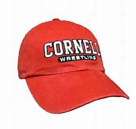 Image result for MN USA Wrestling Hat