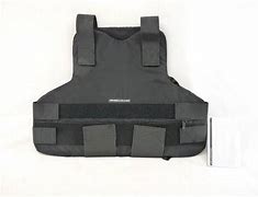 Image result for Body Armor Shield